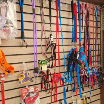Comprar o produto de Segurança e Estilo – Coleiras e Guias em Itatinga em Pet Shop em Itatinga, SP por Solutudo