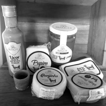 Comprar o produto de Queijos Diversos Artesanais – Sabor Autêntico em São Manuel em Produtos Naturais em São Manuel, SP por Solutudo