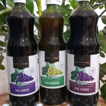Comprar o produto de Sucos Orgânicos Naturais – Puro Sabor em São Manuel em Produtos Naturais em São Manuel, SP por Solutudo