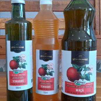 Comprar o produto de Vinagre e Suco de Maçã Orgânicos – Saúde em São Manuel em Produtos Naturais em São Manuel, SP por Solutudo