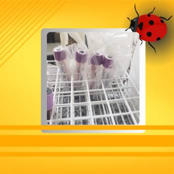 Comprar o produto de  Transporte de amostrar de sangue, hemocomponetes, hemoderivados em Frete, Carreto, Transporte em Botucatu, SP por Solutudo