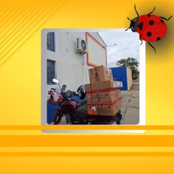 Comprar o produto de Moto frete em Frete, Carreto, Transporte em Botucatu, SP por Solutudo