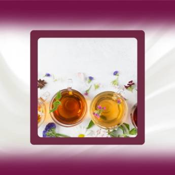 Comprar o produto de Chás  em Suplementos Alimentares em Botucatu, SP por Solutudo