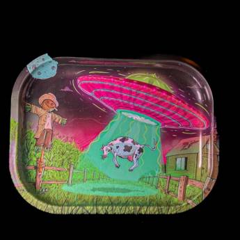 Comprar o produto de Bandeja de Metal Pequena (Abduzido) em Salvador – Praticidade no seu Dia a Dia em Bandeja Metálica pela empresa Sr.Tabas em Salvador, BA por Solutudo