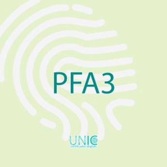 Comprar o produto de Certificado Digital PFA3: Solução Completa para Profissionais da Área Fiscal em São Paulo/SP em Certificação Digital em São Paulo, SP por Solutudo