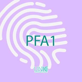 Comprar o produto de Certificado Digital PFA1 em São Paulo – Segurança e Validade para Documentos Fiscais em Certificação Digital em São Paulo, SP por Solutudo