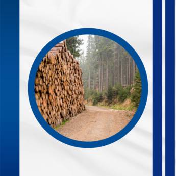 Comprar o produto de Manutenção Florestal  em Serralheria em Botucatu, SP por Solutudo