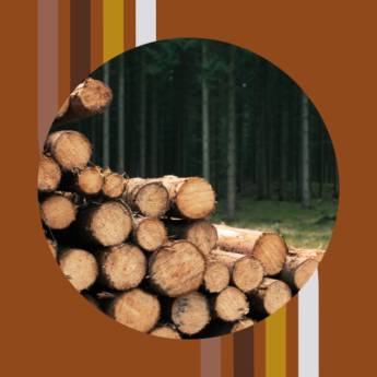 Comprar o produto de Demolições de madeira  em Demolições em Botucatu, SP por Solutudo Comprar o produto de Demolições de madeira  em Demolições em Botucatu, SP por Solutudo