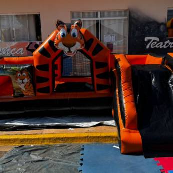Comprar o produto de Mult Play Home Tigrinho em Aluguel de Brinquedos em São Manuel, SP por Solutudo