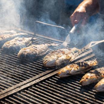 Comprar o produto de Onde Comprar Churrasqueiras na Riviera XIII em Churrasqueiras em Riviera de Santa Cristina XIII, SP por Solutudo