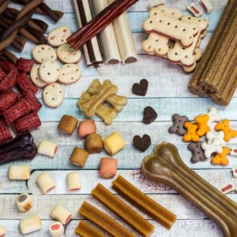 Comprar o produto de Casa de Ração - Nutrição de Qualidade para Cães e Gatos em São Manuel/SP em Casas de Ração em Lençóis Paulista, SP por Solutudo