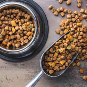 Comprar o produto de Ração para Cachorro e Gato - Nutrição Completa em São Manuel/SP em Pet Shop em Lençóis Paulista, SP por Solutudo