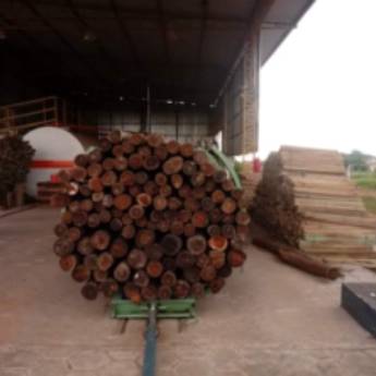 Comprar o produto de Artefatos de Madeira - Durabilidade e Beleza Natural - Avaré/SP em Artefatos de Madeira pela empresa Jatobá Madeiras Tratadas Avaré  em São Manuel, SP por Solutudo