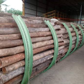 Comprar o produto de Eucalipto Citriodora Tratado - Repique, Palanque, Mourão e Poste  em Madeireiras pela empresa Jatobá Madeiras Tratadas Avaré  em São Manuel, SP por Solutudo