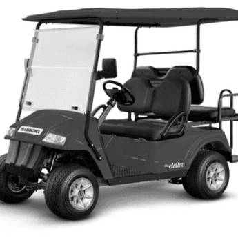 Comprar o produto de Carrinho Elétrico para Lazer Fazenda Boa Vista em Veículos Elétricos em Paranapanema, SP por Solutudo