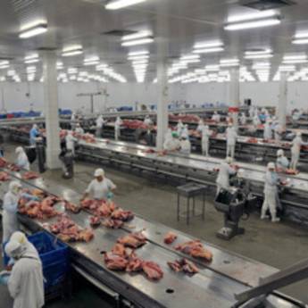 Comprar o produto de Câmaras Frigoríficas - Soluções Eficientes para Conservação - Lençóis Paulista em Frigoríficos em São Manuel, SP por Solutudo