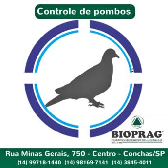 Comprar o produto de Controle de Pombos – Segurança e Higiene em São Manuel/SP em Dedetizadoras em Barra Bonita, SP por Solutudo