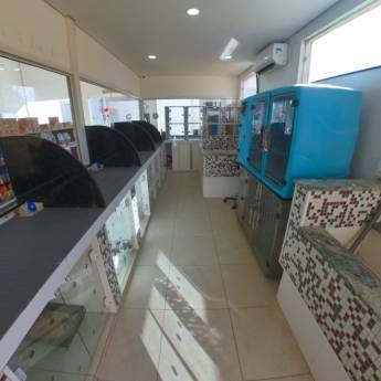 Comprar o produto de Banho e Tosa Visível e Climatizado em Itatinga: Conforto e Cuidado para seu Pet em Clínicas Veterinárias em Avaré, SP por Solutudo