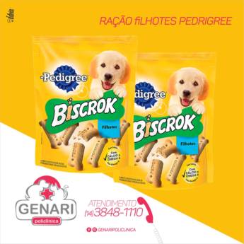 Comprar o produto de Petisco em Petisco para Cachorros em Avaré, SP por Solutudo