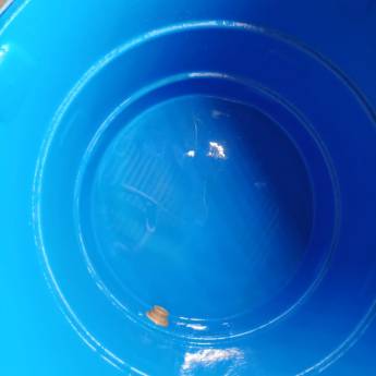 Comprar o produto de Limpeza de Caixas e Reservatório de Água em Laranjal Paulista – Saúde e prevenção em Dedetizadoras em Piracicaba, SP por Solutudo