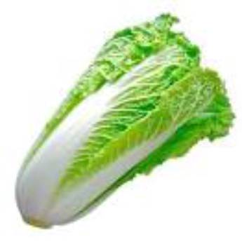 Comprar o produto de ACELGA UN em Hortifruti pela empresa JB Frutas e Legumes em Osasco, SP por Solutudo