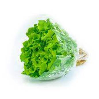 Comprar o produto de ALFACE CRESPA HIDROPONICA em Hortifruti pela empresa JB Frutas e Legumes em Osasco, SP por Solutudo