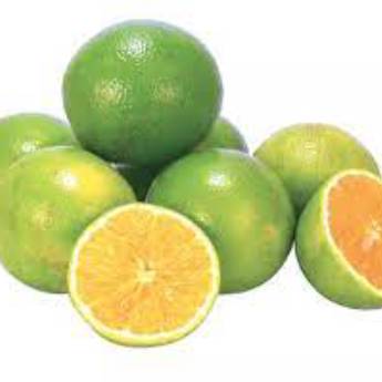 Comprar o produto de LARANJA PERA 500g em Hortifruti pela empresa JB Frutas e Legumes em Osasco, SP por Solutudo