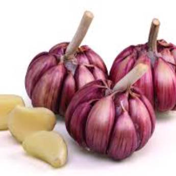 Comprar o produto de ALHO 100g em Hortifruti pela empresa JB Frutas e Legumes em Osasco, SP por Solutudo