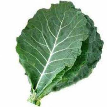 Comprar o produto de COUVE MANTEIGA MÇ em Hortifruti em Guarulhos, SP por Solutudo