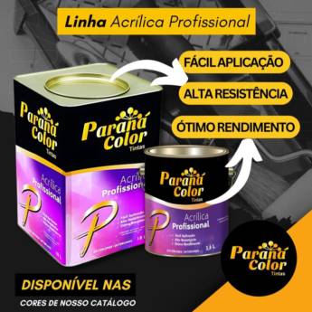Comprar o produto de Economia e Qualidade Garantida – Tinta Acrílica Profissional em Ourinhos em Tintas em Santa Cruz do Rio Pardo, SP por Solutudo