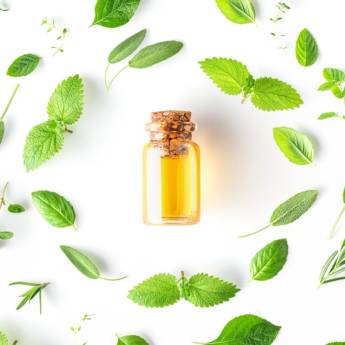 Comprar o produto de Farmácia Homeopática em Homeopáticos e Florais em Palmital, SP por Solutudo