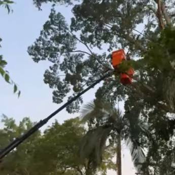 Comprar o produto de Corte de Árvore com Segurança e Eficiência em Santa Cruz do Rio Pardo em Serralherias - Estruturas em Ourinhos, SP por Solutudo