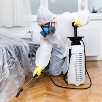 Comprar o produto de Dedetização de Pragas - Proteção Completa em Assis/SP em Dedetizadoras em Paraguaçu Paulista, SP por Solutudo