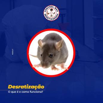 Comprar o produto de  Desratização - Segurança e Saúde em Assis/SP em Dedetização em Cândido Mota, SP por Solutudo