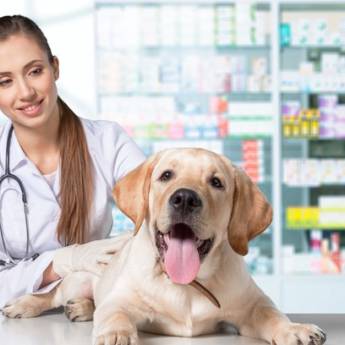 Comprar o produto de Profilaxia de doenças do recém nascido  em Animais em Cerquilho, SP por Solutudo