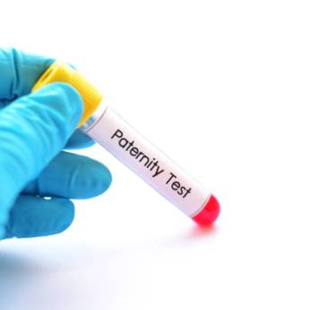 Comprar o produto de Exame de Paternidade Seguro e Confiável em Santarém/PA – Laboratório Primavera em Exames  pela empresa Laboratório Primavera em Prainha, PA por Solutudo