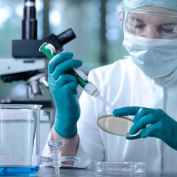 Comprar o produto de Exame de Paternidade com DNA em Santarém/PA – Laboratório Primavera em Exames  em Monte Alegre, PA por Solutudo