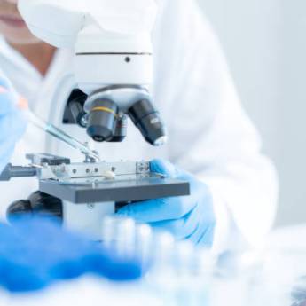 Comprar o produto de Exames Laboratoriais em Santarém – Precisão e Confiança no Laboratório Primavera em Exames  pela empresa Laboratório Primavera em Itaituba, PA por Solutudo