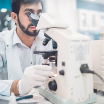 Comprar o produto de Exame de Fezes em Santarém/PA – Diagnóstico Confiável no Laboratório Primavera em Exames  em Alenquer, PA por Solutudo