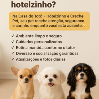 Comprar o produto de Leva e traz em Creche Pet em Botucatu, SP por Solutudo