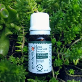 Comprar o produto de ÓLEO ESSENCIAL DE MELALEUCA em Óleos Essenciais em Campinas, SP por Solutudo