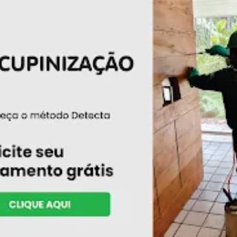 Comprar o produto de Descupinização Profissional e Segura – Proteja sua Madeira em Santa Bárbara Resort Residence com a Detecta Dedetizadora em Dedetização em Riviera de Santa Cristina I, SP por Solutudo