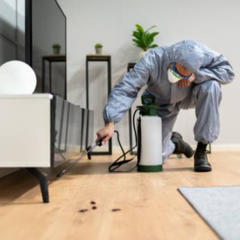 Comprar o produto de Desinsetização contra Baratas - Solução Eficaz para Ambientes em Santa Bárbara Resort Residence/SP em Dedetização em Riviera de Santa Cristina I, SP por Solutudo