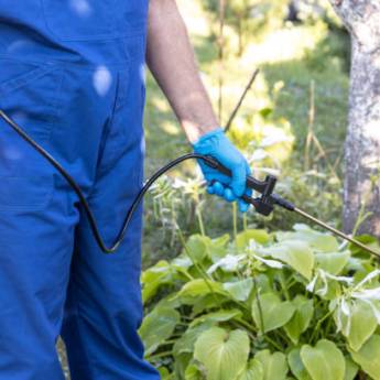 Comprar o produto de Dedetizadoras em Santa Bárbara: Fim dos Insetos Rasteiros em Dedetização em Riviera de Santa Cristina I, SP por Solutudo