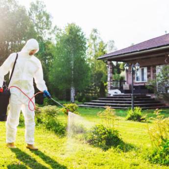 Comprar o produto de Proteção Total Contra Escorpiões: Tranquilidade no Santa Bárbara Resort em Dedetização pela empresa Detecta Dedetizadora em Riviera de Santa Cristina I, SP por Solutudo