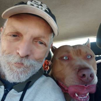 Comprar o produto de Transporte para Hospedagem e Creche Pet em Transportes de Animais em Jundiaí, SP por Solutudo