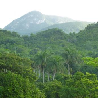 Comprar o produto de Estudos de Flora e Fauna em Serviços Ambientais em Bauru, SP por Solutudo