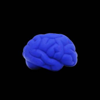 Comprar o produto de Cérebro Anti-Stress Vinil oca Personalizado em Produtos Anti Stress pela empresa Public Gráfica e Brindes em Ribeirão Preto, SP por Solutudo