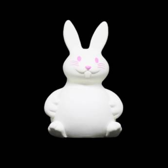 Comprar o produto de Coelho Cofre Personalizado em Brinquedos pela empresa Public Gráfica e Brindes em Ribeirão Preto, SP por Solutudo