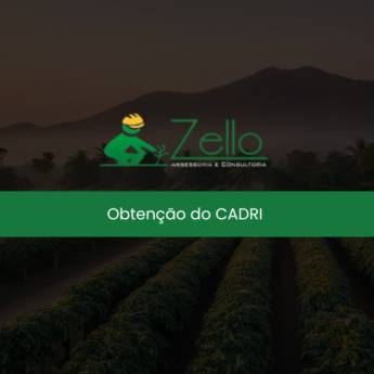 Comprar o produto de Obtenção do CADRI  em Consultoria Ambiental em Itapetininga, SP por Solutudo
